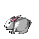 bunny.gif