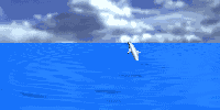 dolphin4.gif