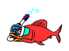 fish.gif