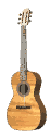 guitar2.gif 