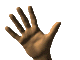 hand.gif 