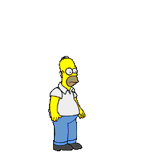 homer2.gif 