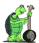 turtle2.gif 
